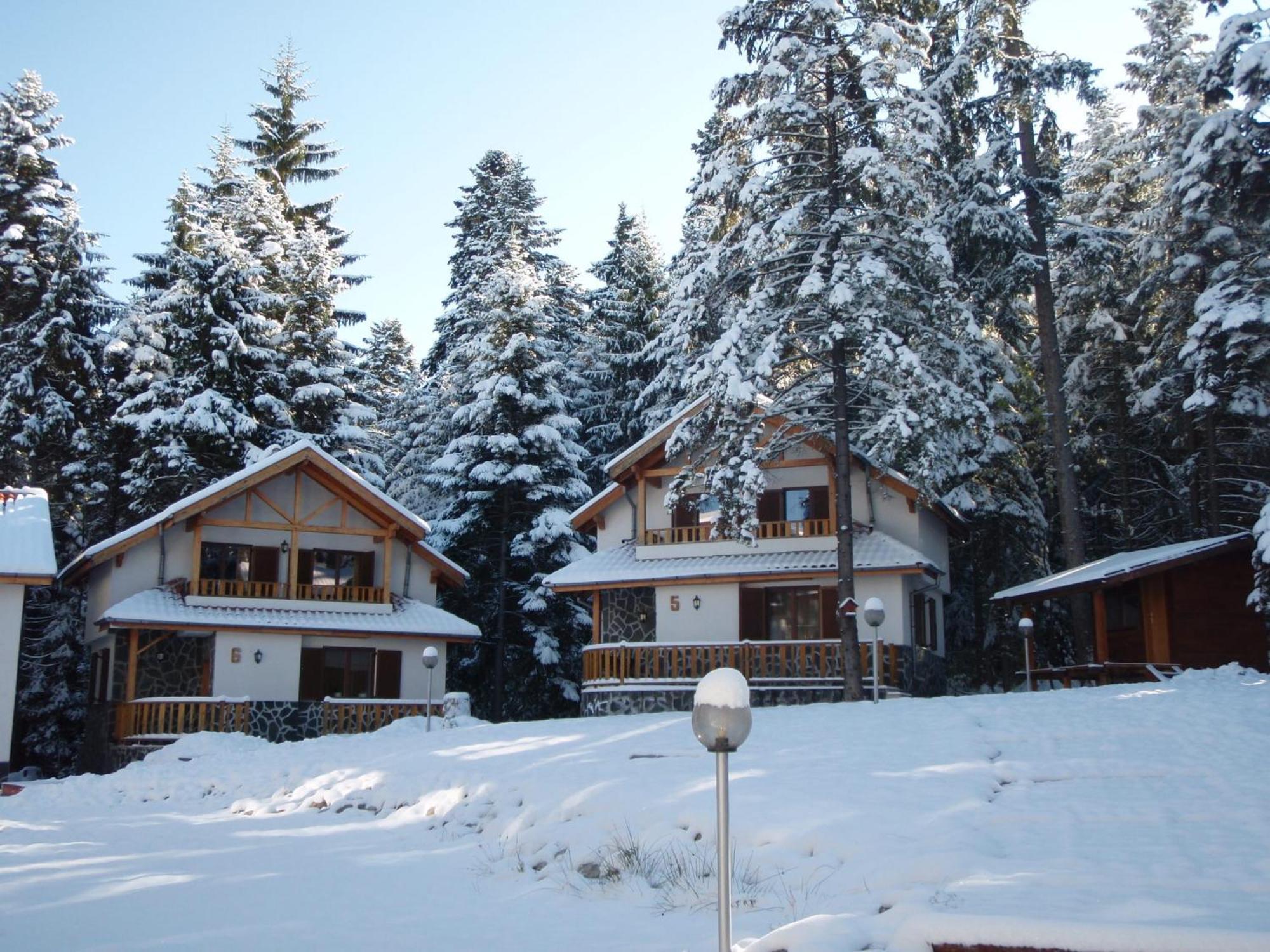 Saint George Holiday Village Боровец Экстерьер фото